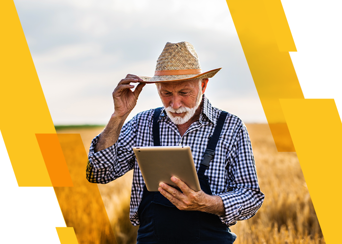 ELABORAÇÃO DE IRPF PARA PRODUTOR RURAL - Fema